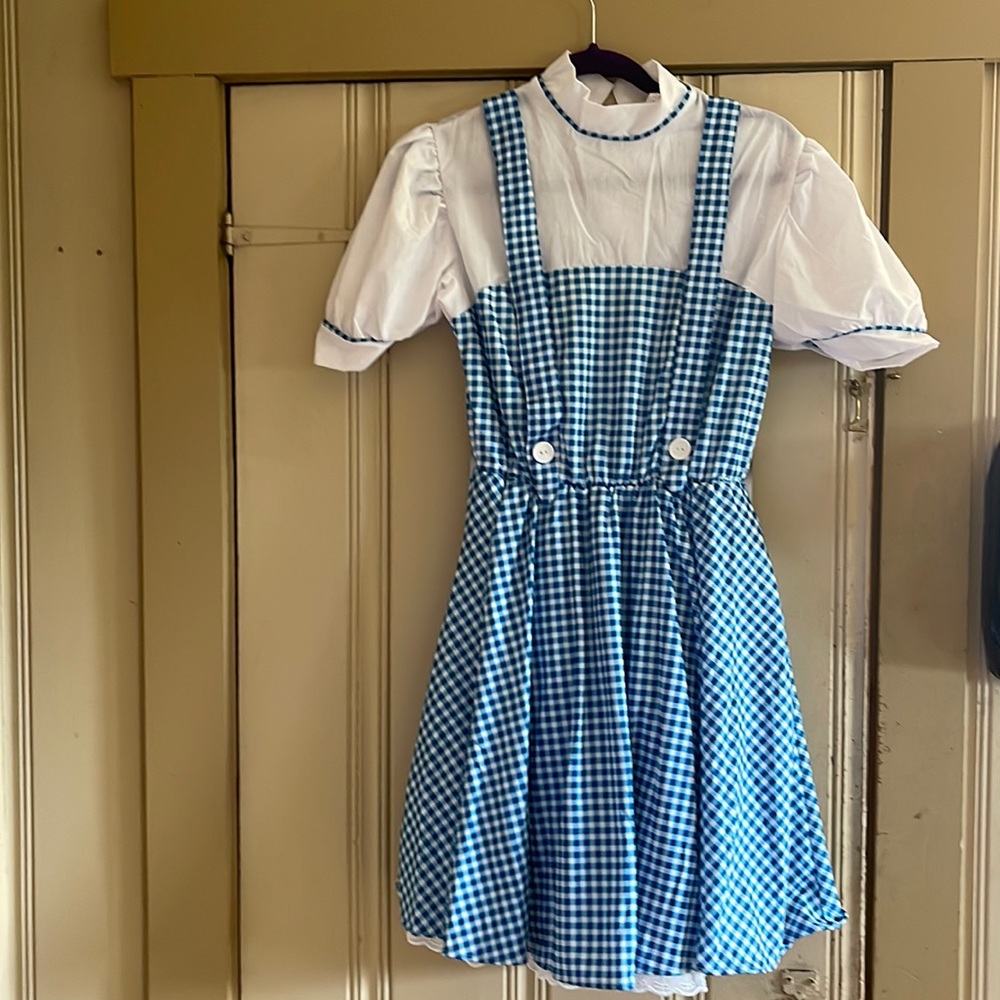 Dorothy costume